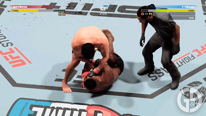 Dan Severn punching Mike Tyson on his back in UFC 5