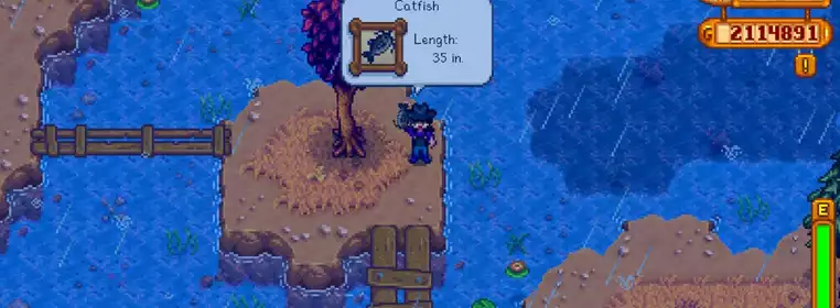 Stardew Valley Catfish: Location, Season, Uses, And How To Catch