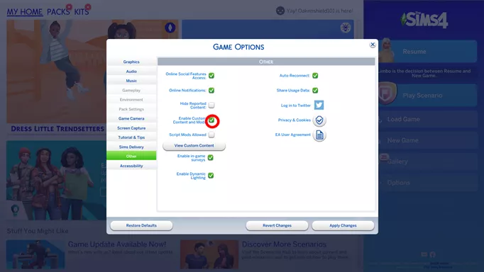 A screenshot showing how to install mods in The Sims 4