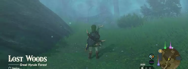 How to get through the Lost Woods in Zelda: Tears of the Kingdom