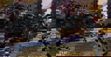 scmwdl.jpeg
