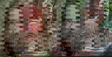 jumanji-theme-park-ride.jpg