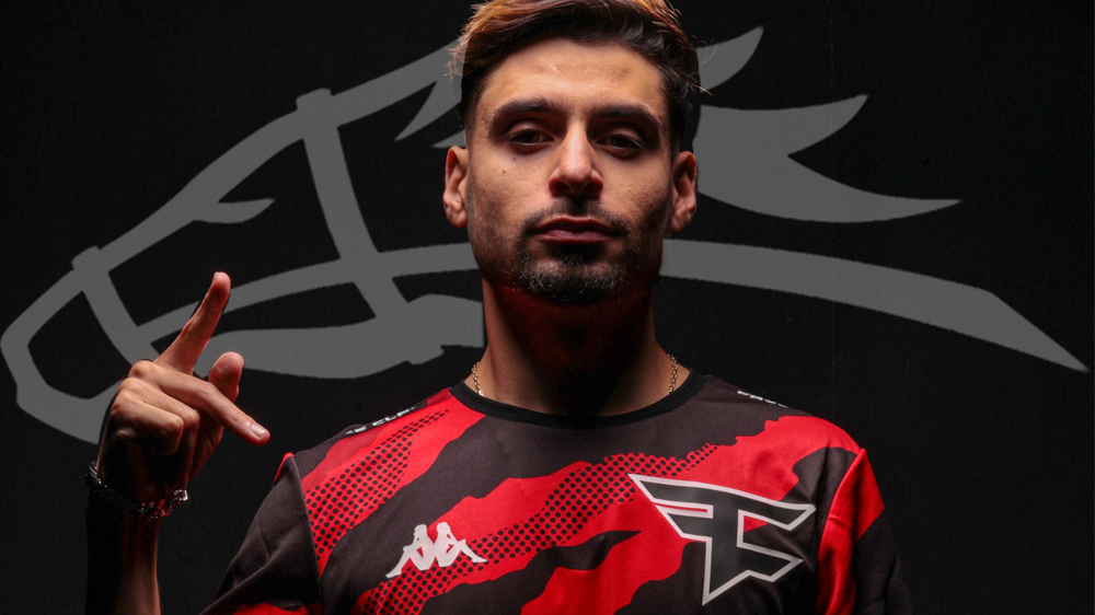 zoomaa-stallions.png