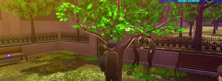 Where to find the persimmon tree in Persona 3 Reload