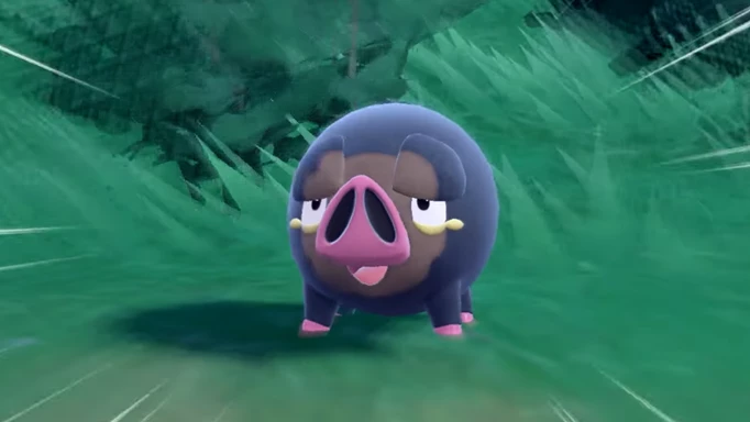 A stunning Lechonk that can be found in Pokémon Scarlet and Violet