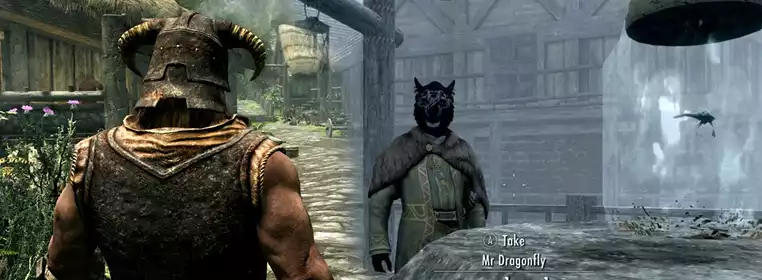 Dragonflies Are Kidnapping NPCs In Skyrim