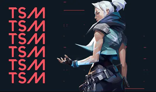 TSM VALORANT art
