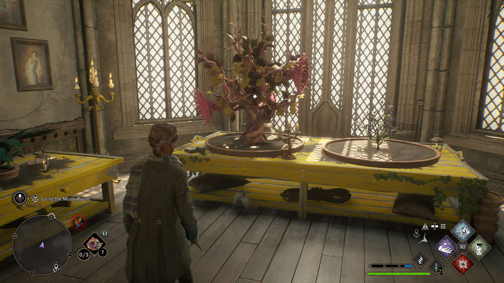 How to get a large pot in Hogwarts Legacy