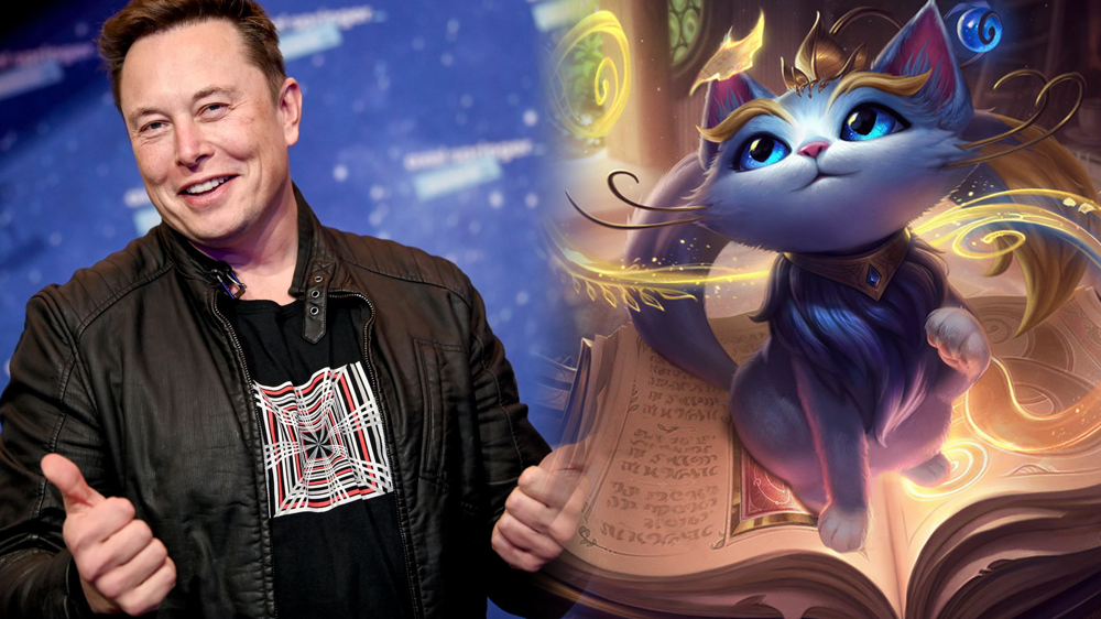 elon-musk-yuumi.png