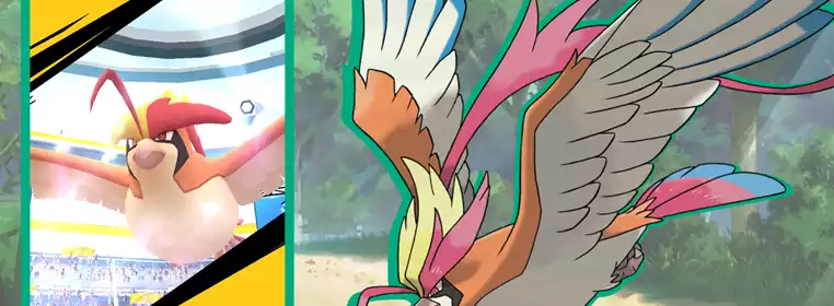 Pokemon GO Mega Pidgeot: Counters, Weaknesses, And Movesets