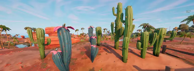 Fortnite Cactus Plants: How To Destroy Different Types Of Cactus Plants