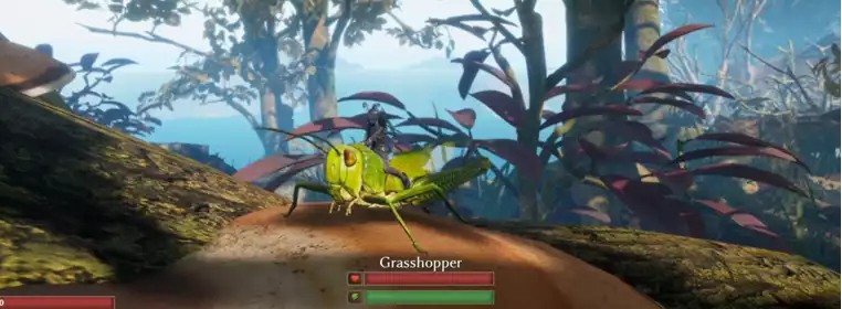 How to tame a Grasshopper in Smalland: Survive the Wilds