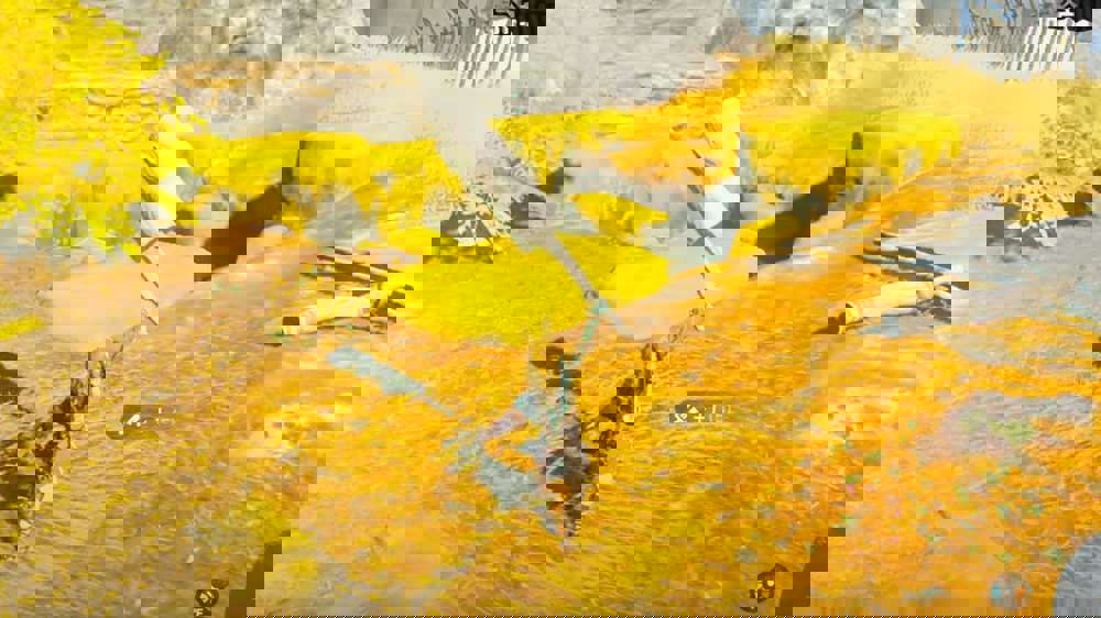 All Fuse recipes in Zelda: Tears of the Kingdom