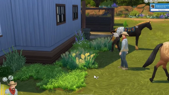 A screenshot of Prairie Grass in The Sims 4 Horse Ranch
