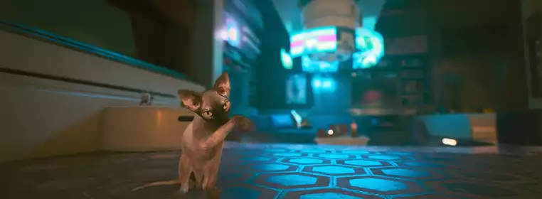 Cyberpunk 2077 Nibbles: How To Get Your Very Own Future Cat