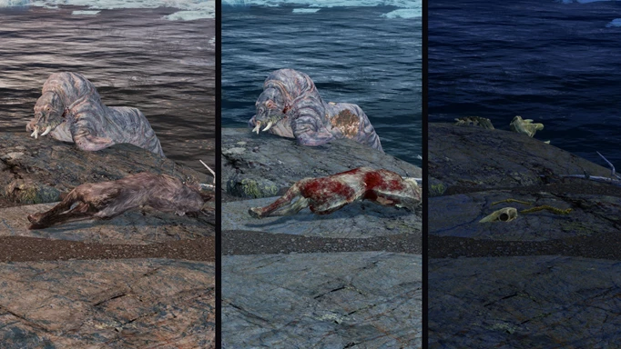 Two examples of Skyrim creatures in three different stages of decay.