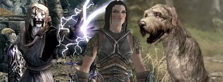 Skyrim Mod Lets You Take An Army Of Companions With You