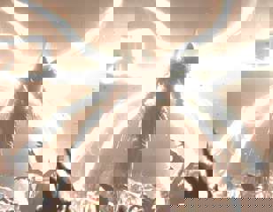 diablo-4-light-wings.jpg