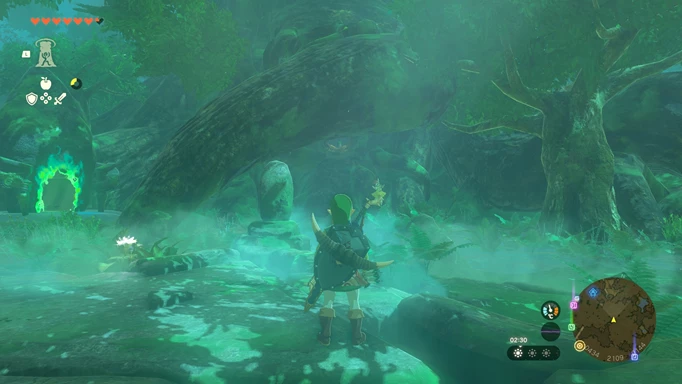 Screenshot of Korok Forest in Zelda: Tears of the Kingdom