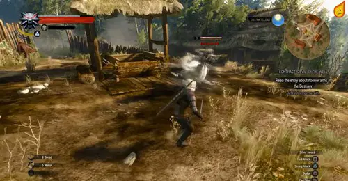 The Witcher 3 Devil By The Well Walkthrough