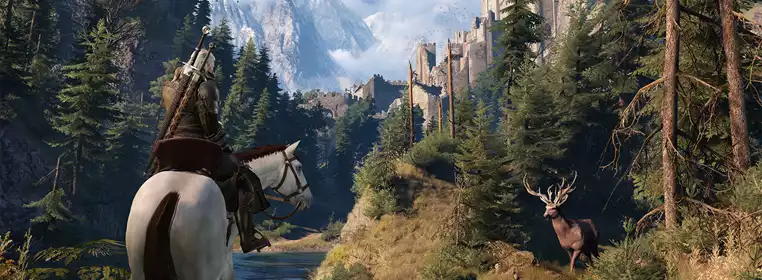 Check how well The Witcher 3 runs on your PC with the FPS Counter