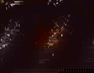 escape-from-tarkov-cultist-circle.jpg