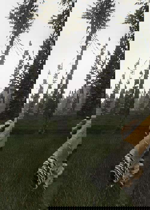 Learn how flares work in Escape From Tarkov & how to use them