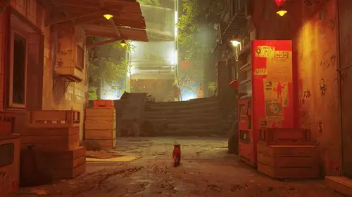 Image of The Dead City in Stray