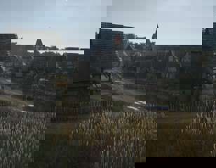 manor-lords-village.jpg