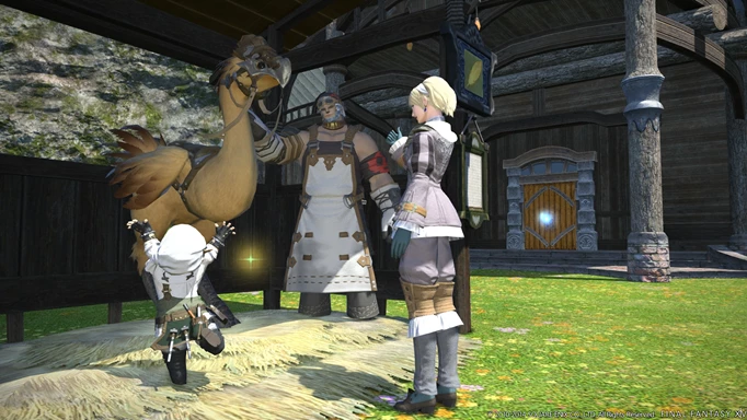 an example of chocobo raising in Final Fantasy XIV