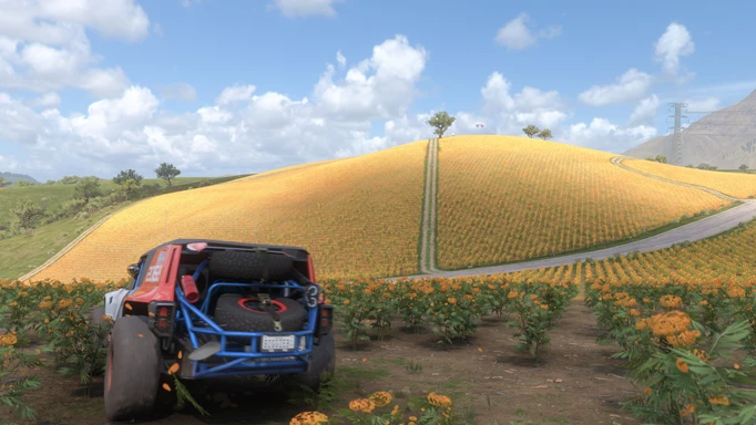 A car sits in front of a yellow field.