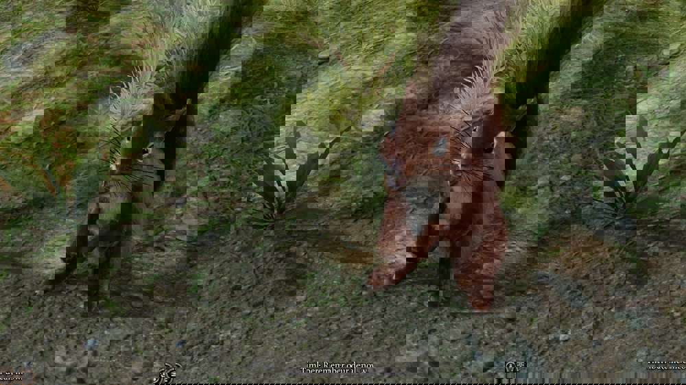 Baldur's Gate 3 update 2 patch notes: Karlach changes, performance improvements & more