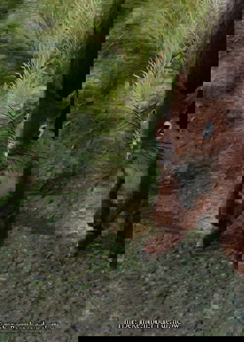 Baldur's Gate 3 update 2 patch notes: Karlach changes, performance improvements & more