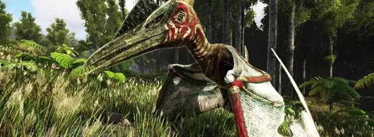How To Tame A Pteranodon In ARK Survival Evolved