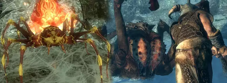 Skyrim Player Finds New Breeds Of Spider After A Decade