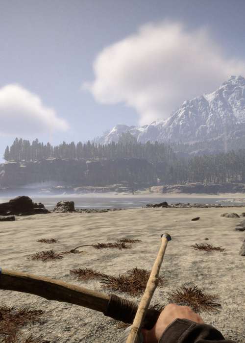How to change arrow type in Sons of the Forest