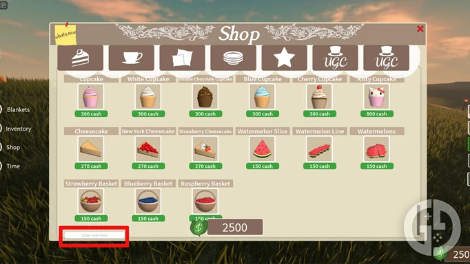The In The Hills store with the codes text box highlighted