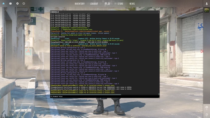 Image of the developer console in CS2