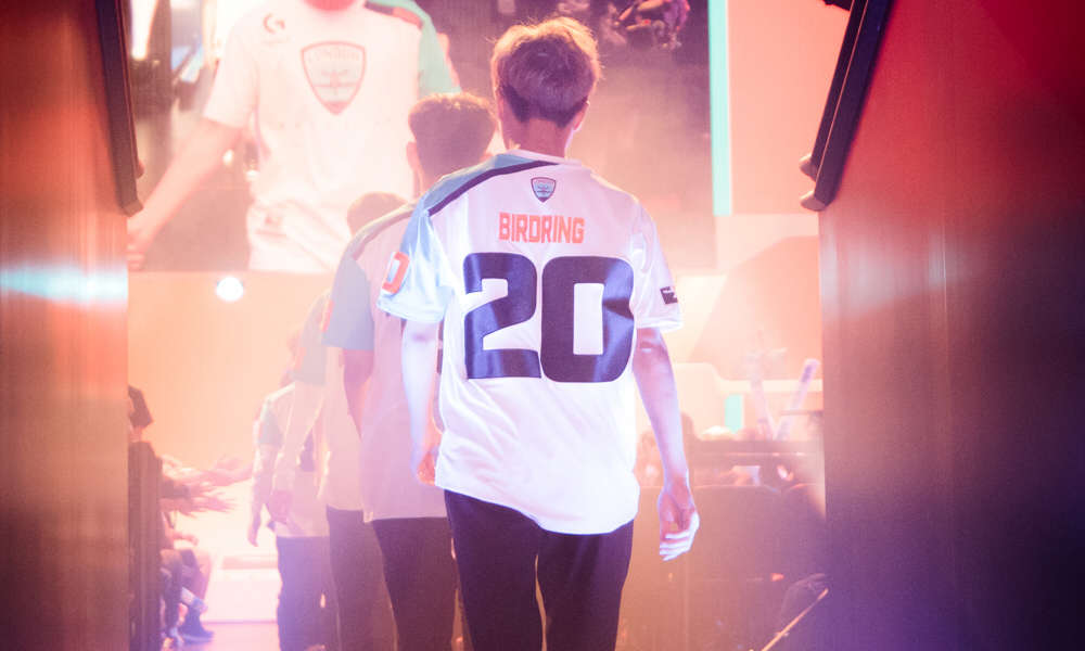 Roots of Overwatch: Birdring's phoenix down