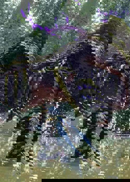 Monster Hunter Rise Monsters Guide