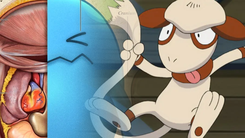 pokemon-dissect-thumb.png