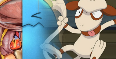 pokemon-dissect-thumb.png