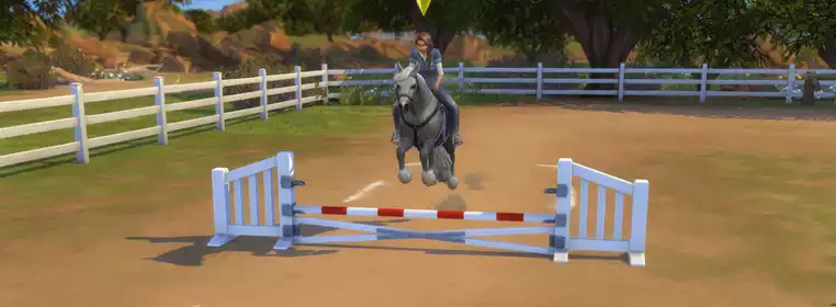 How To Use Horse Ranch Skills Cheats To Level Up & Max Out Horses