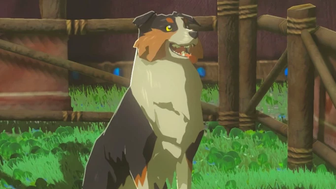 Zelda can you pet the dog