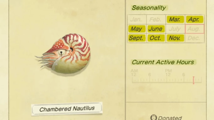 A Chambered Nautilus in Animal Crossing: New Horizons
