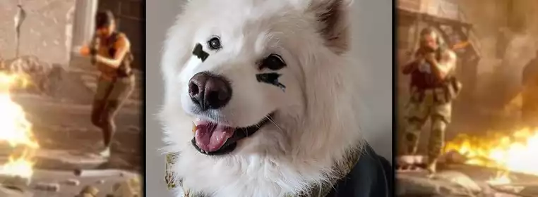 Call Of Duty Is Adding A Furry Good Boi Skin For Warzone And Vanguard