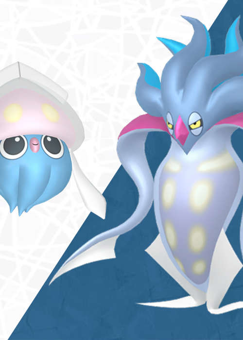 Malamar Evolution