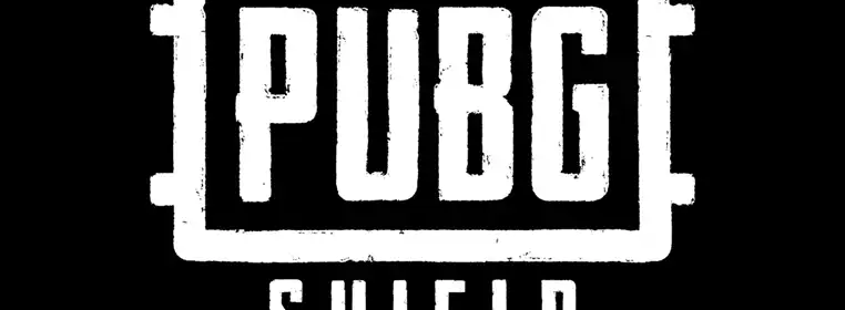 PUBG Wants Your Help To Stop Cheaters With PUBG Shield