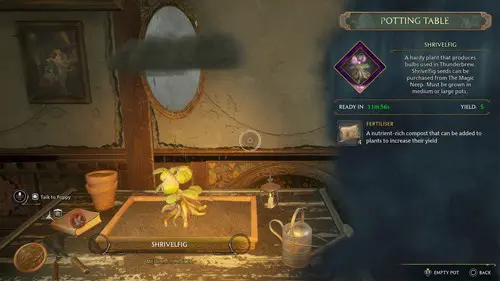 How To Grow Shrivelfig Fruit In Hogwarts Legacy