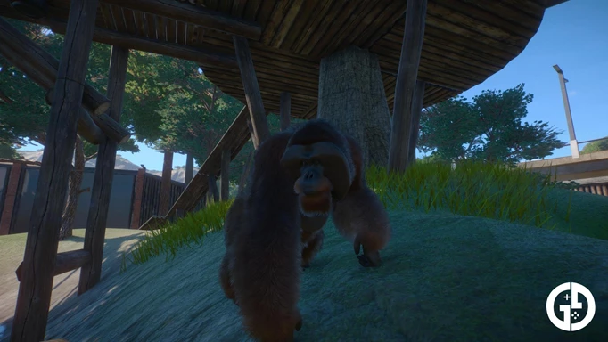 Orangutan in Planet Zoo